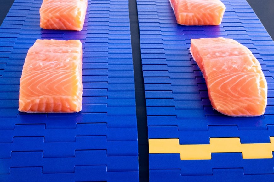 Choosing the right conveyor belt for food safety